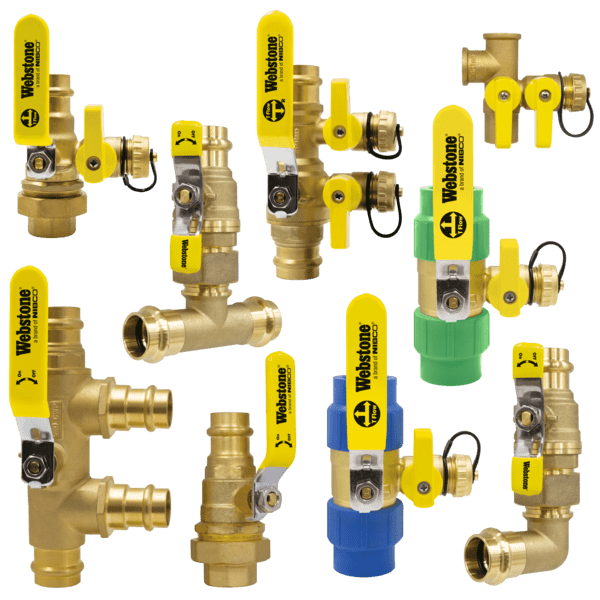 Isolation Check and Purge Valves